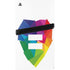 Love Is Equal PS5 Pro Disk Bundle  Skin